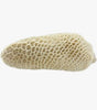 Tripe / Per Kg