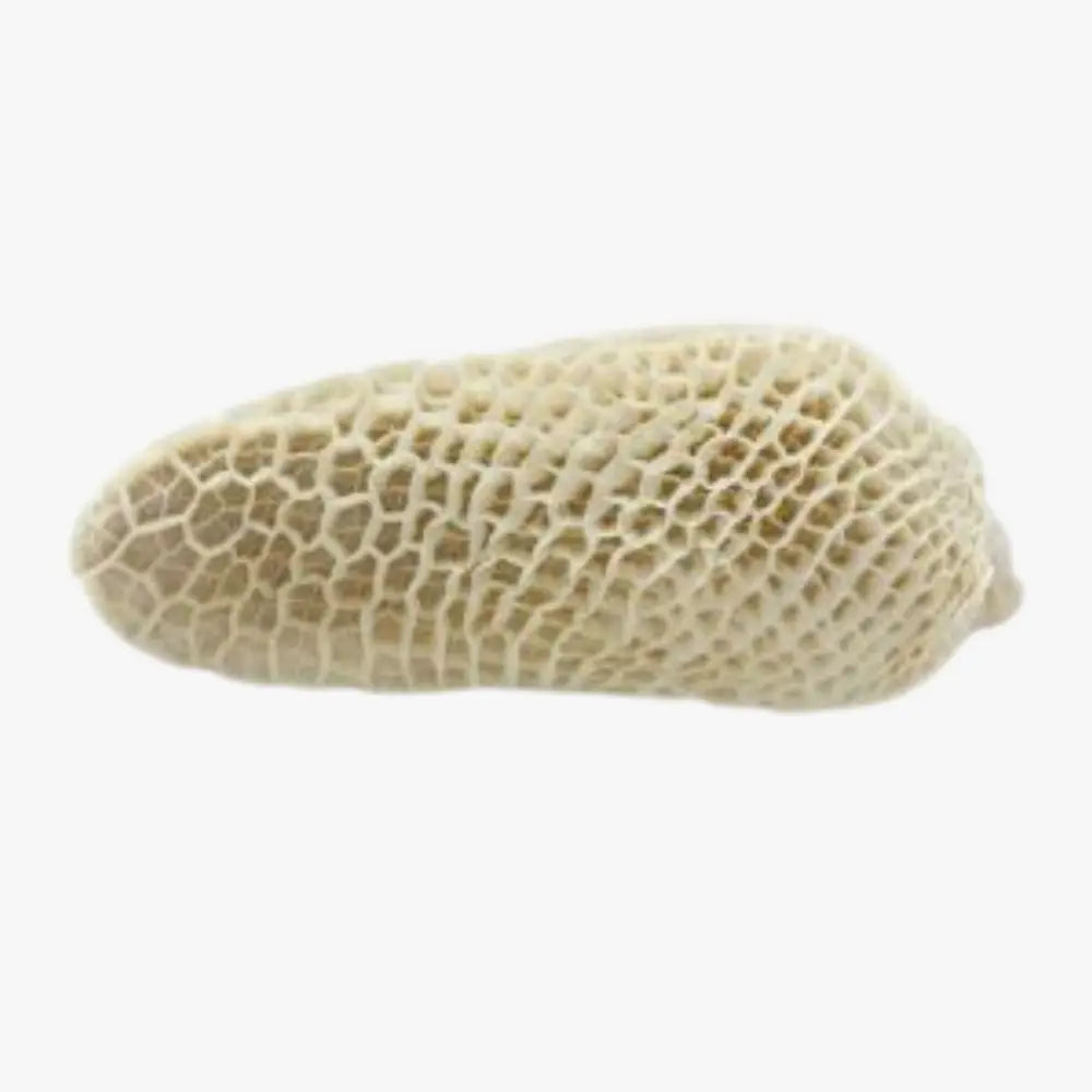 Tripe / Per Kg