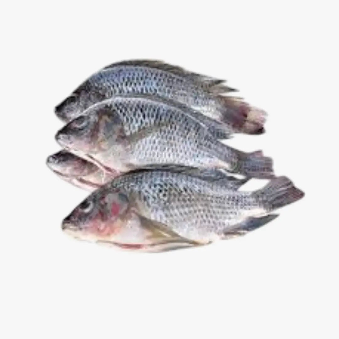 Tilapia Whole (Box)