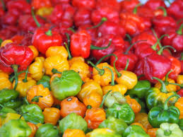 Scotch Bonnet Pepppers - (Bowl)