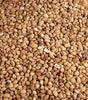 Sweet Brown Beans